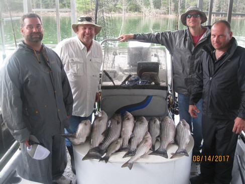 Nice Striped Bass